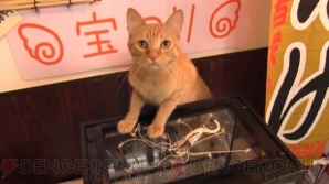 “ねこぶくろ”