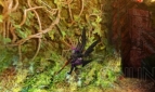 『モンスターハンター4』