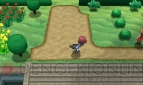 『ポケットモンスター X・Y』