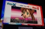 “ポケモンゲームショー”