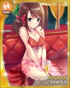 『ドリームクラブ ホストガールコレクション！』