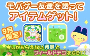 『ホッコリ！たまごっち～な』