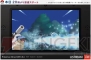 『ポケットモンスター X・Y』