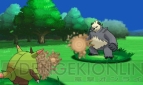 『ポケットモンスター X・Y』