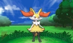 『ポケットモンスター X・Y』