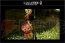“FINAL FANTASY GO THERE”ステージ