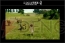 “FINAL FANTASY GO THERE”ステージ