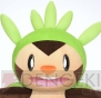 『ポケットモンスター』