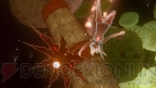 『GRAVITY DAZE/重力的眩暈：上層への帰還において、彼女の内宇宙に生じた摂動』