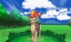 『ポケットモンスター X・Y』