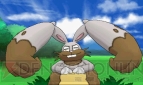 『ポケットモンスター X・Y』