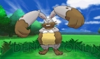『ポケットモンスター X・Y』