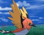 『ポケットモンスター X・Y』