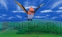 『ポケットモンスター X・Y』