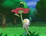 『ポケットモンスター X・Y』