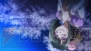 『戦国恋姫』アニメカット