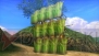 『戦国BASARA4』