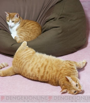 「教えて！土屋憲一先生」