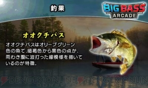 『ビッグバス アーケード』