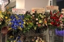 藍井エイル Special Live 2013 -Starlight Reunion-