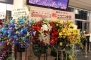藍井エイル Special Live 2013 -Starlight Reunion-