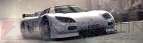 『RACE DRIVER GRID 2』