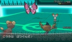 『ポケットモンスター X・Y』