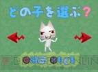 『「どこでもいっしょ」「こねこもいっしょ」パック』