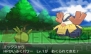『ポケットモンスター X・Y』