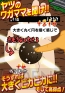 『泥だんご』
