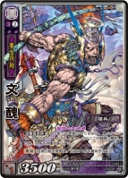 『三国志大戦トレーディングカードゲーム 構築済みデッキ』
