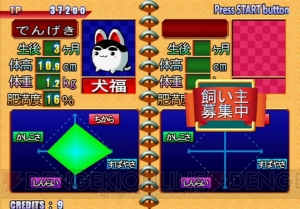 『すくすく犬福』育てるごとに違った姿を見せる“犬福”がゆるかわいい！【電撃PS×PS Store】