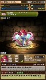 『パズル＆ドラゴンズ』
