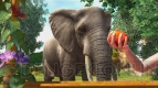 『Zoo Tycoon』