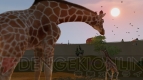 『Zoo Tycoon』