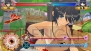 『デカ盛り 閃乱カグラ』『閃乱カグラ2 -真紅-』