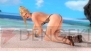 『DEAD OR ALIVE 5 Ultimate』