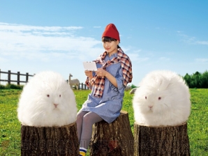 『牧場物語 つながる新天地』