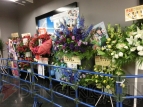 “THE IDOLM＠STER M＠STERS OF IDOL WORLD!!2014”を