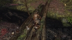 『DARK SOULS II』敵ノーガード時のダメージ値