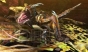 『モンスターハンター4』