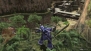 『機動戦士ガンダムオンライン』