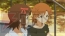 『THE IDOLM＠STER MOVIE 輝きの向こう側へ！』