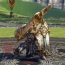 『TERA』