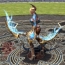 『TERA』