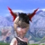 『TERA』