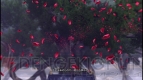 『仮面ライダー バトライド・ウォーII』