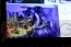 “Falcom jdk band Live ＆ Talk Show”
