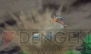 『ポケットモンスター オメガルビー・アルファサファイア』