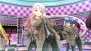 『ドリームクラブ ホストガールオンステージ』